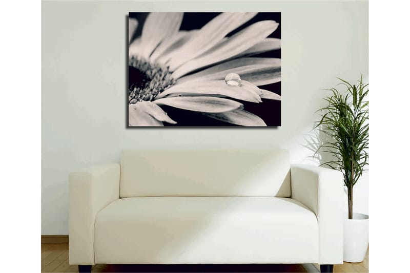 Dekorativ Canvastavla 30x40 cm - Flerfärgad - Inredning - Tavlor & posters - Canvastavla