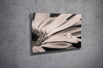 Dekorativ Canvastavla 30x40 cm - Flerfärgad - Inredning - Tavlor & posters - Canvastavla