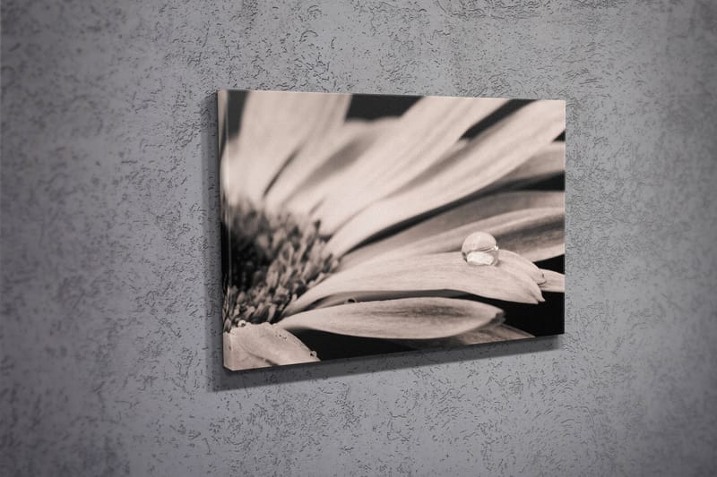 Dekorativ Canvastavla 30x40 cm - Flerfärgad - Inredning - Tavlor & posters - Canvastavla