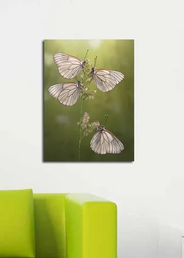 Dekorativ Canvastavla 30x40 cm - Flerfärgad - Inredning - Tavlor & posters - Canvastavla