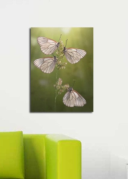 Dekorativ Canvastavla 30x40 cm - Flerfärgad - Inredning - Tavlor & posters - Canvastavla