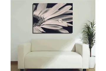 Dekorativ Canvastavla 30x40 cm - Flerfärgad - Inredning - Tavlor & posters - Canvastavla