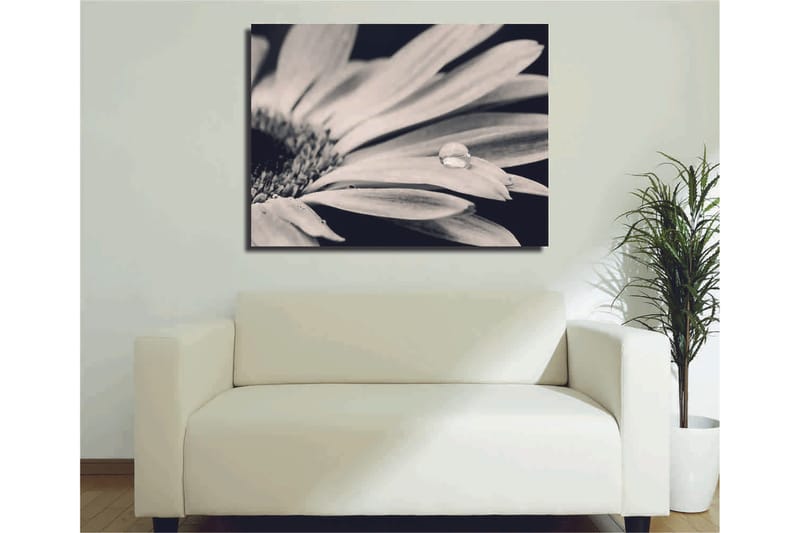 Dekorativ Canvastavla 30x40 cm, Flerfärgad