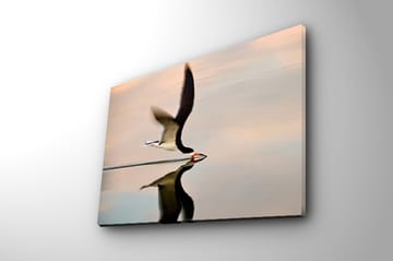 Dekorativ Canvastavla 30x40 cm - Flerfärgad - Inredning - Tavlor & posters - Canvastavla