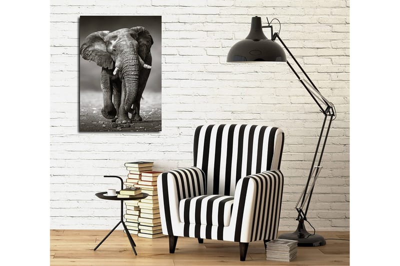 Dekorativ Canvastavla 30x40 cm, Flerfärgad