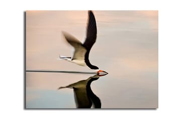 Dekorativ Canvastavla 30x40 cm - Flerfärgad - Inredning - Tavlor & posters - Canvastavla