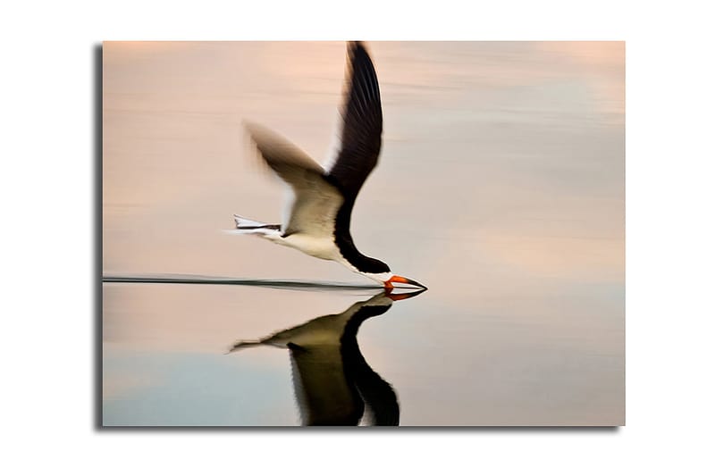 Dekorativ Canvastavla 30x40 cm, Flerfärgad