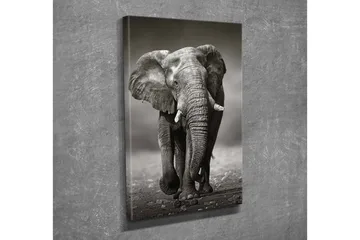 Dekorativ Canvastavla 30x40 cm - Flerfärgad - Inredning - Tavlor & posters - Canvastavla