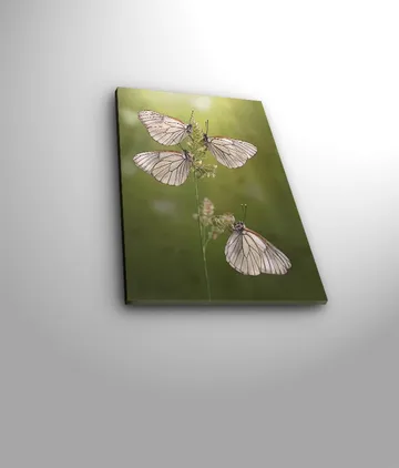 Dekorativ Canvastavla 30x40 cm - Flerfärgad - Inredning - Tavlor & posters - Canvastavla