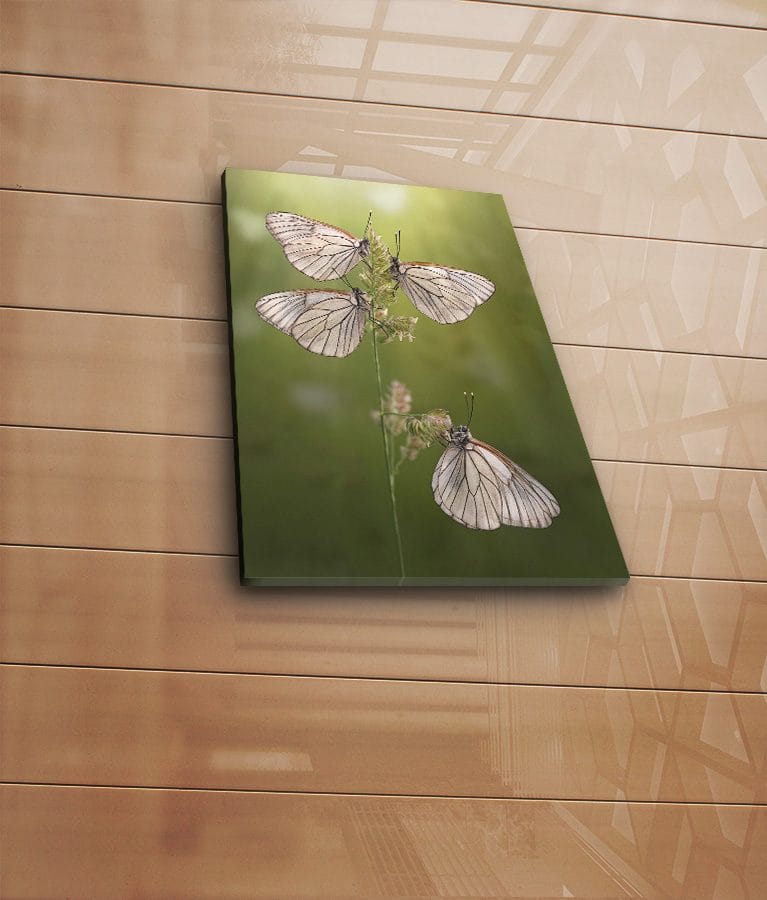 Dekorativ Canvastavla 30x40 cm - Flerfärgad - Inredning - Tavlor & posters - Canvastavla