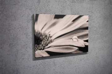 Dekorativ Canvastavla 30x40 cm - Flerfärgad - Inredning - Tavlor & posters - Canvastavla