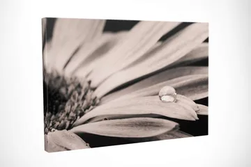 Dekorativ Canvastavla 30x40 cm - Flerfärgad - Inredning - Tavlor & posters - Canvastavla