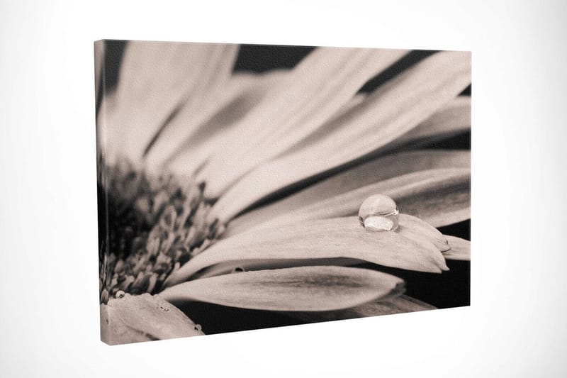 Dekorativ Canvastavla 30x40 cm - Flerfärgad - Inredning - Tavlor & posters - Canvastavla