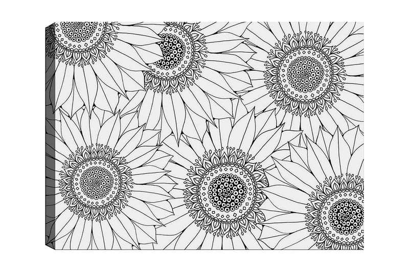 Dekorativ Canvastavla 30x40 cm, Vit|Svart