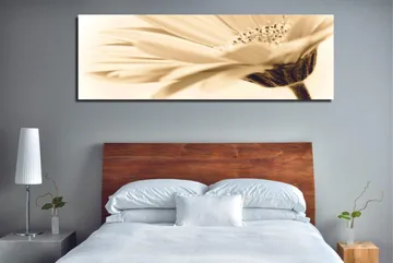 Dekorativ Canvastavla 30x80 cm - Flerfärgad - Inredning - Tavlor & posters - Canvastavla