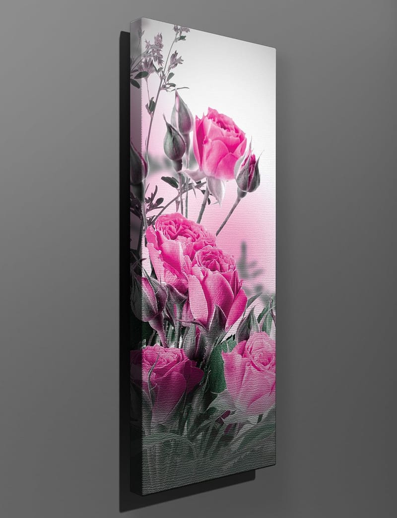 Dekorativ Canvastavla 30x80 cm - Flerfärgad - Inredning - Tavlor & posters - Canvastavla