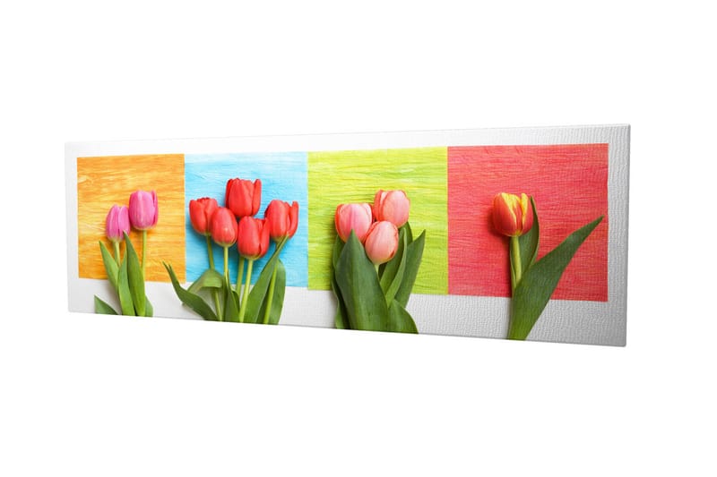 Dekorativ Canvastavla 30x80 cm - Flerfärgad - Inredning - Tavlor & posters - Canvastavla