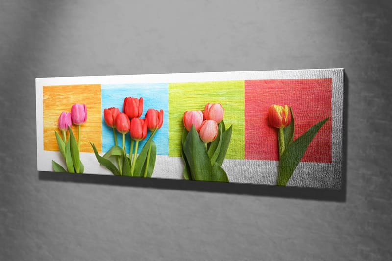 Dekorativ Canvastavla 30x80 cm - Flerfärgad - Inredning - Tavlor & posters - Canvastavla