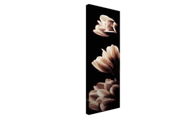 Dekorativ Canvastavla 30x80 cm - Flerfärgad - Inredning - Tavlor & posters - Canvastavla