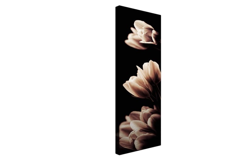Dekorativ Canvastavla 30x80 cm - Flerfärgad - Inredning - Tavlor & posters - Canvastavla