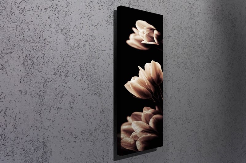 Dekorativ Canvastavla 30x80 cm - Flerfärgad - Inredning - Tavlor & posters - Canvastavla