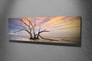 Dekorativ Canvastavla 30x80 cm - Flerfärgad - Inredning - Tavlor & posters - Canvastavla