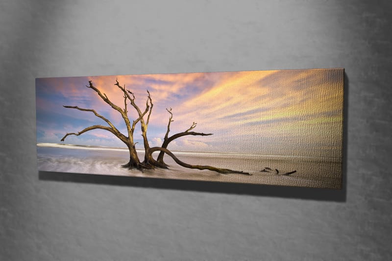 Dekorativ Canvastavla 30x80 cm - Flerfärgad - Inredning - Tavlor & posters - Canvastavla