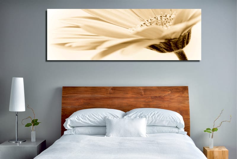 Dekorativ Canvastavla 30x80 cm - Flerfärgad - Inredning - Tavlor & posters - Canvastavla