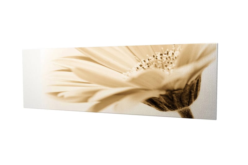 Dekorativ Canvastavla 30x80 cm - Flerfärgad - Inredning - Tavlor & posters - Canvastavla