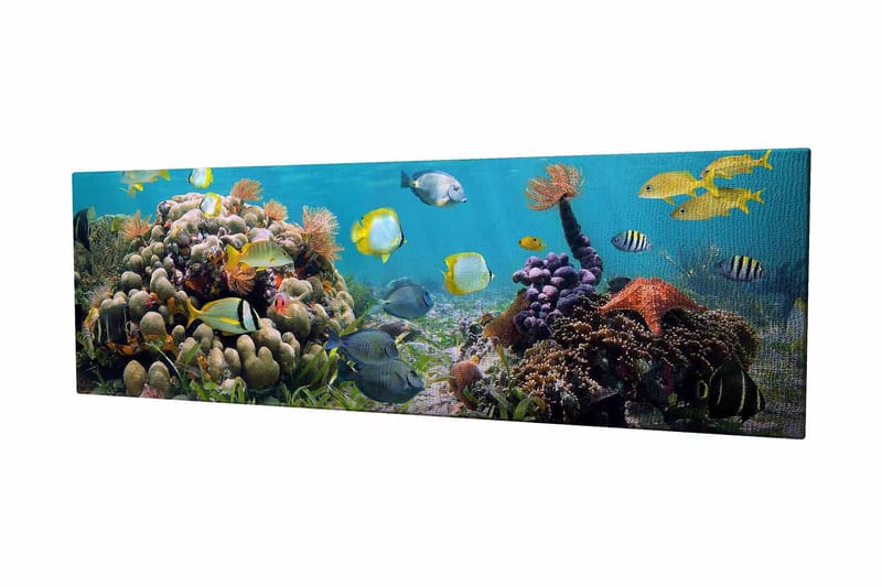 Dekorativ Canvastavla 30x80 cm - Flerfärgad - Inredning - Tavlor & posters - Canvastavla