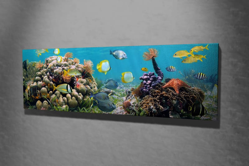 Dekorativ Canvastavla 30x80 cm - Flerfärgad - Inredning - Tavlor & posters - Canvastavla