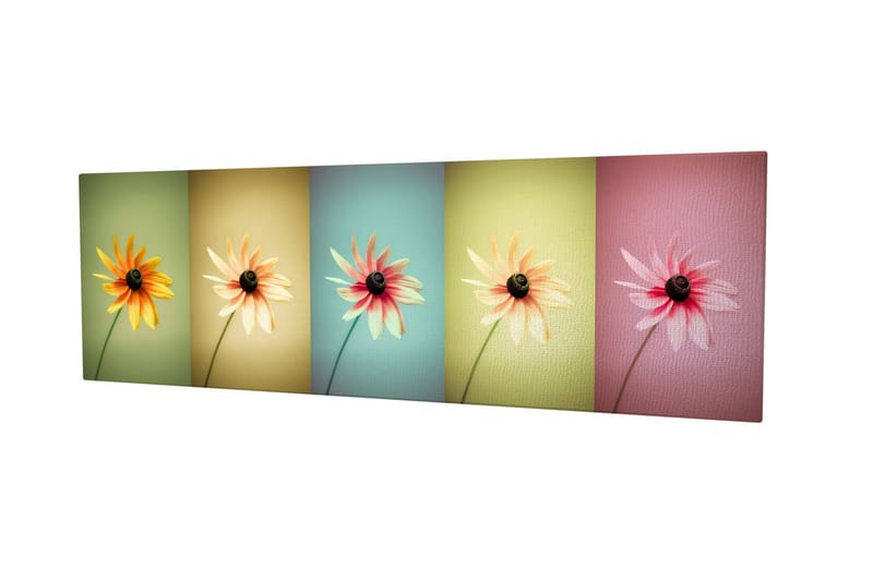 Dekorativ Canvastavla 30x80 cm - Flerfärgad - Inredning - Tavlor & posters - Canvastavla