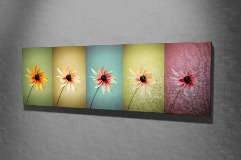Dekorativ Canvastavla 30x80 cm - Flerfärgad - Inredning - Tavlor & posters - Canvastavla