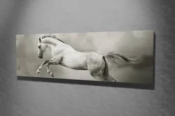 Dekorativ Canvastavla 30x80 cm - Flerfärgad - Inredning - Tavlor & posters - Canvastavla