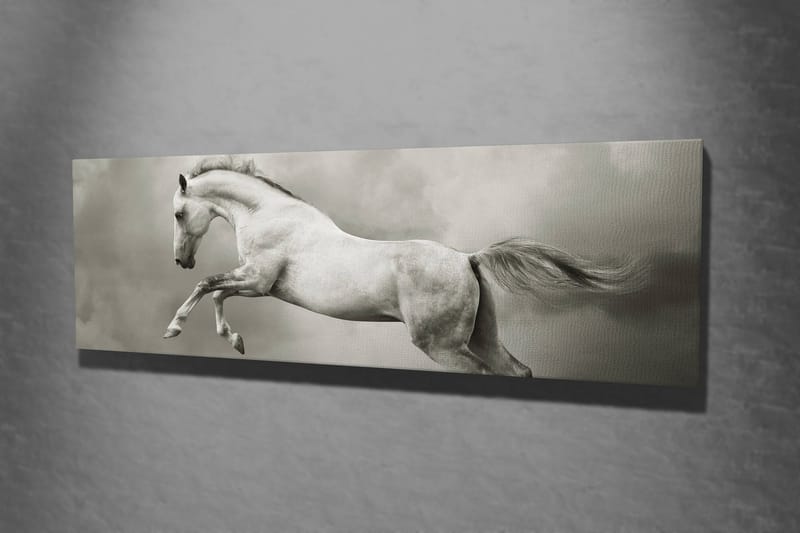 Dekorativ Canvastavla 30x80 cm - Flerfärgad - Inredning - Tavlor & posters - Canvastavla