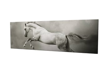 Dekorativ Canvastavla 30x80 cm - Flerfärgad - Inredning - Tavlor & posters - Canvastavla