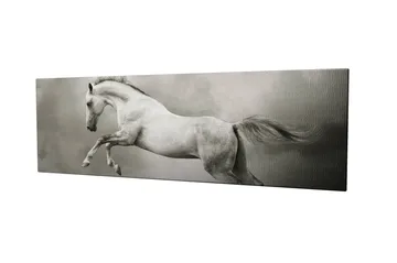 Dekorativ Canvastavla 30x80 cm - Flerfärgad - Inredning - Tavlor & posters - Canvastavla