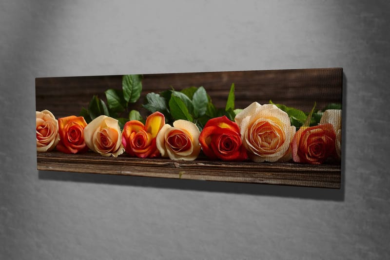 Dekorativ Canvastavla 30x80 cm - Flerfärgad - Inredning - Tavlor & posters - Canvastavla