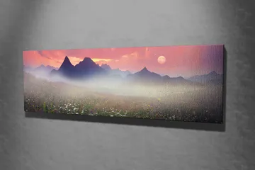 Dekorativ Canvastavla 30x80 cm - Flerfärgad - Inredning - Tavlor & posters - Canvastavla