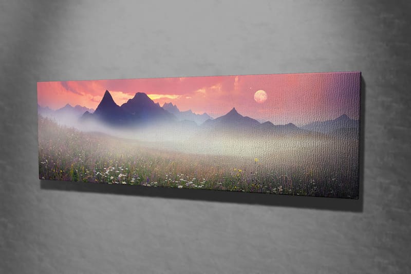 Dekorativ Canvastavla 30x80 cm - Flerfärgad - Inredning - Tavlor & posters - Canvastavla