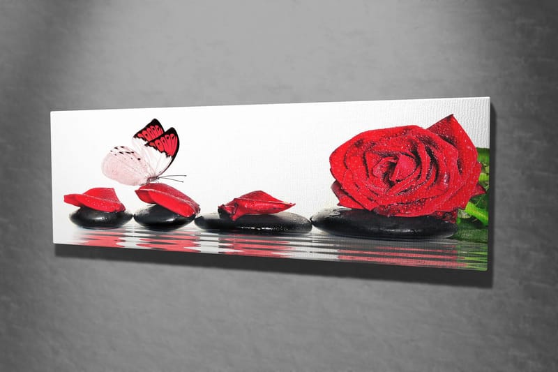 Dekorativ Canvastavla 30x80 cm - Flerfärgad - Inredning - Tavlor & posters - Canvastavla