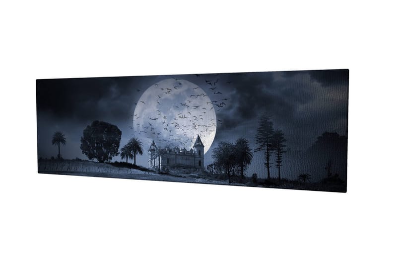 Dekorativ Canvastavla 30x80 cm, Flerfärgad