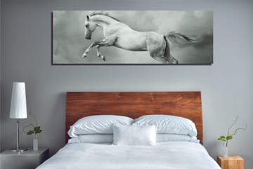 Dekorativ Canvastavla 30x80 cm - Flerfärgad - Inredning - Tavlor & posters - Canvastavla