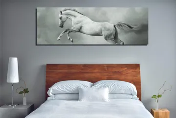 Dekorativ Canvastavla 30x80 cm - Flerfärgad - Inredning - Tavlor & posters - Canvastavla