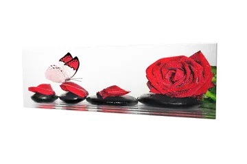 Dekorativ Canvastavla 30x80 cm - Flerfärgad - Inredning - Tavlor & posters - Canvastavla