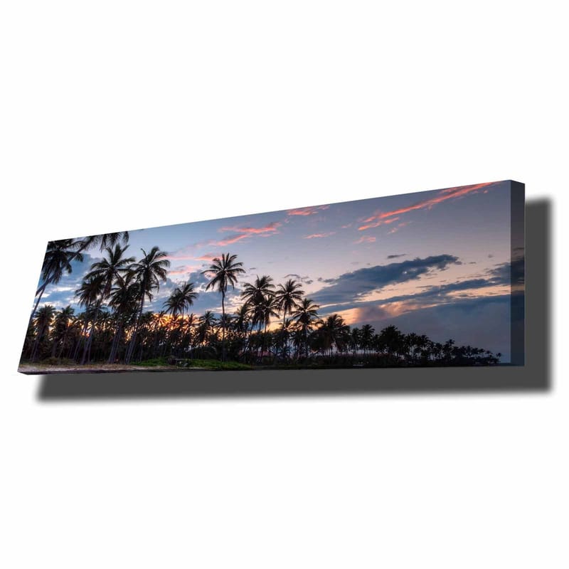 Dekorativ Canvastavla 30x90 cm, Flerfärgad