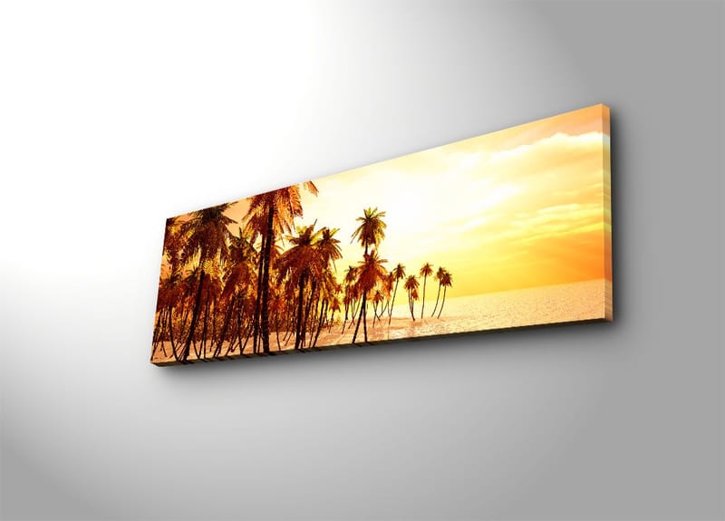 Dekorativ Canvastavla 30x90 cm, Flerfärgad