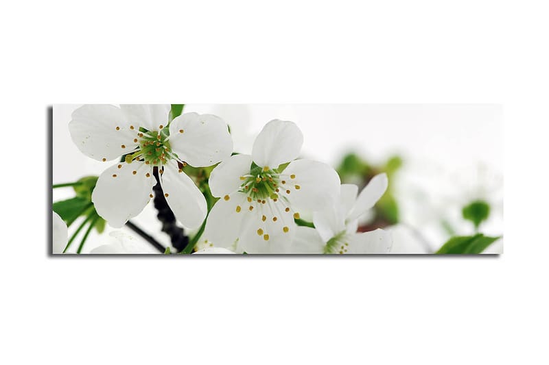 Dekorativ Canvastavla 30x90 cm, Flerfärgad