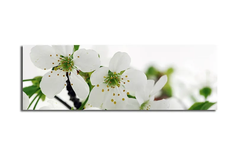 Dekorativ Canvastavla 30x90 cm, Flerfärgad