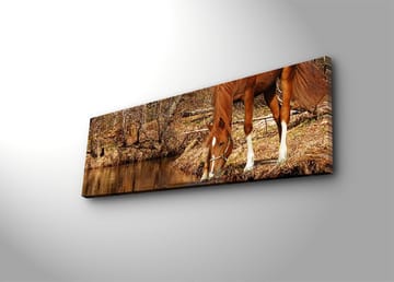 Dekorativ Canvastavla 30x90 cm - Flerfärgad - Inredning - Tavlor & posters - Canvastavla